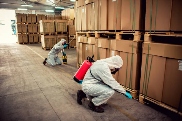 Best Rat Extermination Near Me  in Pine City, MN