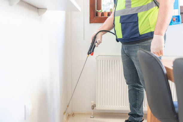 Best Best Pest Control Near Me  in Pine City, MN