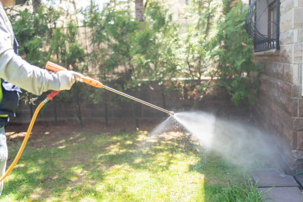 Best Pest Control Near Me in Pine City, MN