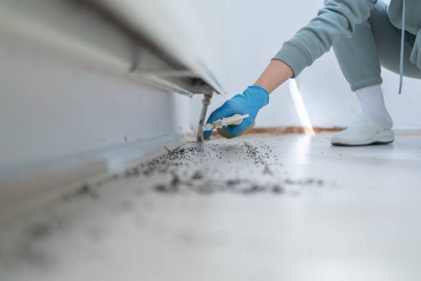 Best Best Pest Control Companies  in Pine City, MN